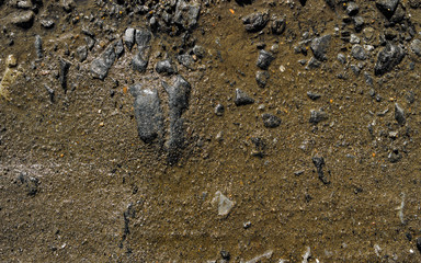 Wet soil background. Wet ground and stones. Natural background. Stony ground. Stony soil