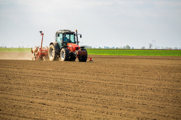 Fototapeta premium Farmer seeding, sowing crops at field. Sowing is the process of planting seeds in the ground as part of the early spring time agricultural activities.