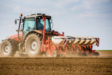 Farmer seeding, sowing crops at field. Sowing is the process of planting seeds in the ground as part of the early spring time agricultural activities.