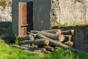 A pile of wooden logs stacked next to an old abandoned fortification construction on a bright summer day on Vallisaari island in Finland