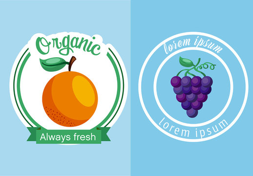 Fresh Organic Fruits Badge Sticker Set