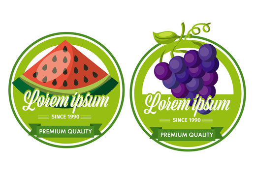 Green Red Orange Purple Fresh Fruit Labels Set