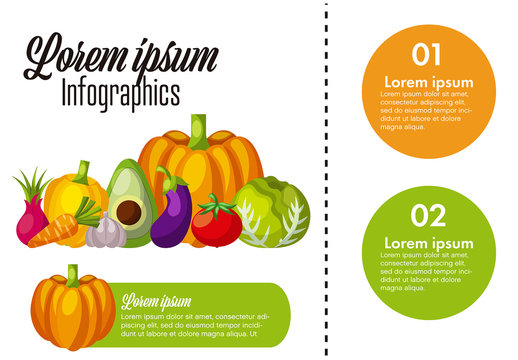 Colorful Pumpkin Avocado Eggplant Tomato Infographic Template