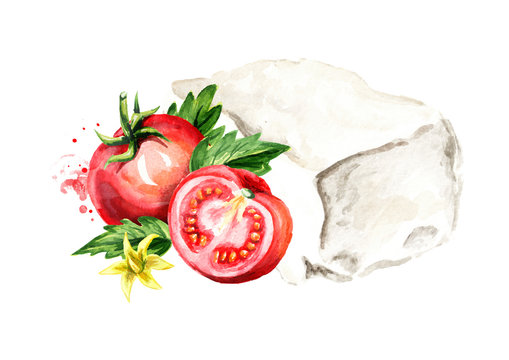 Greek feta cheese block with tomatoes. Watercolor hand drawn illustration, isolated on white background