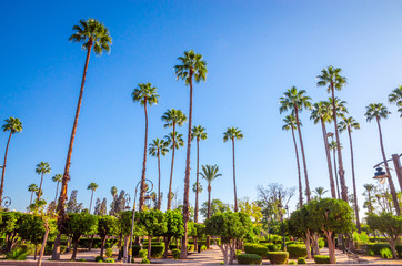 Obraz premium Beautiful park in old medina of Marrakesh, Morocco