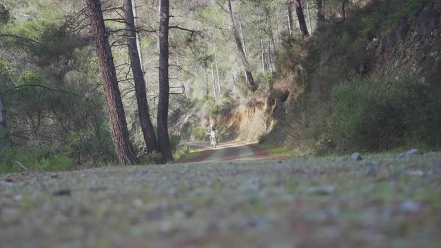 Dirt bike passing in forest in Cyprus