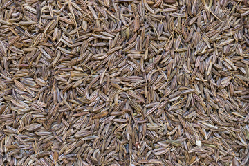 Dry Caraway Seeds Background