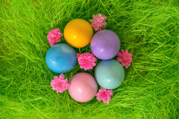 top view of multi colored painted Easter eggs and spring flowers over green grass, holiday background