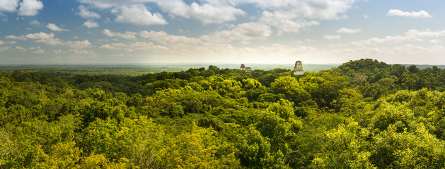 Tikal Guatemala Panorama