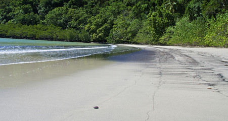 Daintree National Park, Australia
