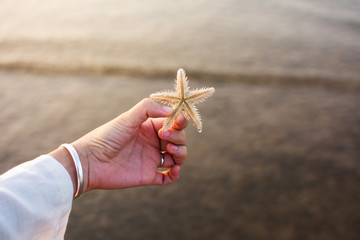 Female holding a starfish on the beach