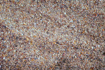 Sea sand texture, natural background