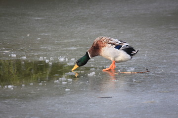 Erst mal ein Schluck auf den Schreck