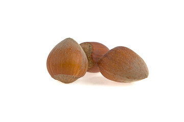 three hazelnuts on a white background