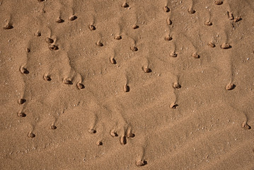 Combined effects of wind and water on the sand, Fuerteventura, Canary Islands, Spain