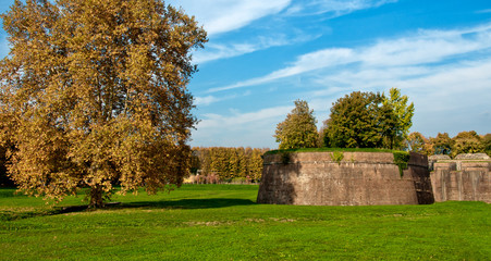 Autumn Colors in Lucca