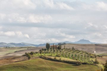 Fototapeta na wymiar Sunny fields in Tuscany, Italy