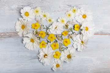 Obraz premium A bouquet of white flowers cosmea or cosmos with ribbon on white boards. Garden yellow flowers over handmade wooden table background. Backdrop with copy space.