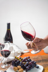 Professional red wine tasting event with high quality wine glasses and wine accessories