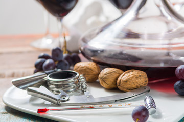 Professional red wine tasting event with high quality wine glasses and wine accessories