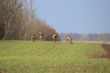 H&ouml;chste Konzentration