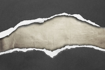 Ripped paper