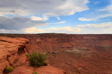 Canyonlands National Park panorama