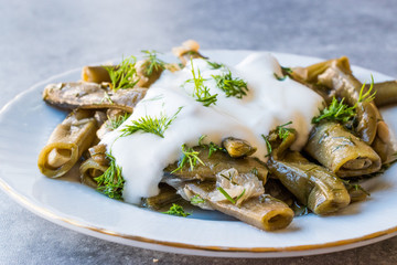 Turkish Food Broad Beans with Yogurt, Dill and Olive Oil / Zeytinyagli Bakla.