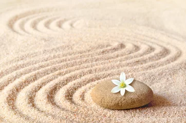 Foto op Canvas stenen en witte bloem op het zand met cirkels © Belight