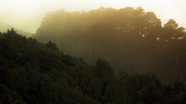 Time lapse fog or smoke rolling past hillside forest. It's actually mist and rain but also looks like smoke from a forest fire.