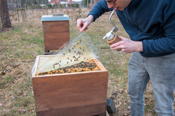 Imker kümmert sich um sein Bienenvolk, indem er eine Plastikabdeckung anhebt, um die Bienenwabe zu...