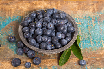 Organic healthy superfood blueberry in bowl, new harvest, raw, ready to eat