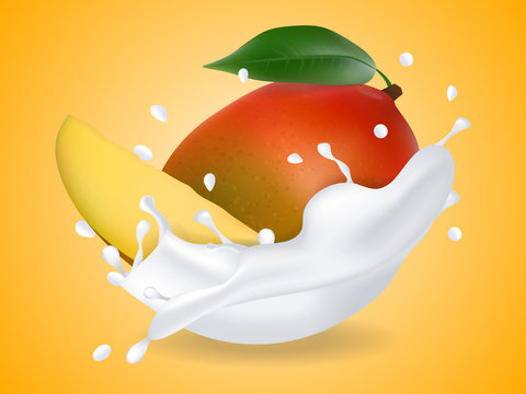 juicy sweet mango in milk splash. Milkshake with mango. Realistic style. Vector illustration.