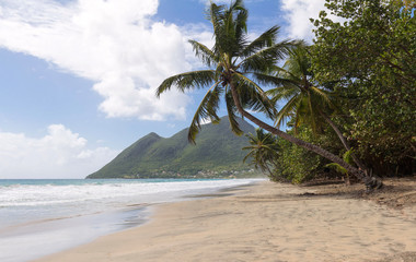 The Caribbean beach , Martinique island.