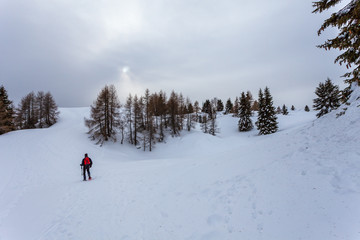 Fototapeta na wymiar Man walking with snowshoes on a snowy slope on a gray day, with a pale sun, Col Visentin, Belluno, Italy