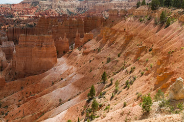 Bryce Canyon 82