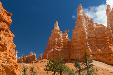 Bryce Canyon 34