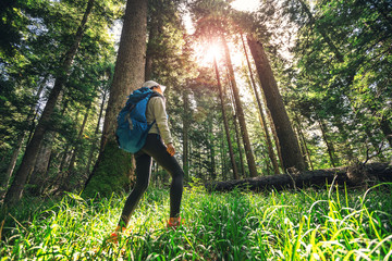  woman hiking through forest - Powered by Adobe