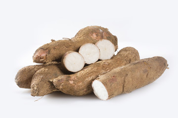 Cassava raw tuber - Manihot esculenta