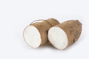 Cassava raw tuber - Manihot esculenta