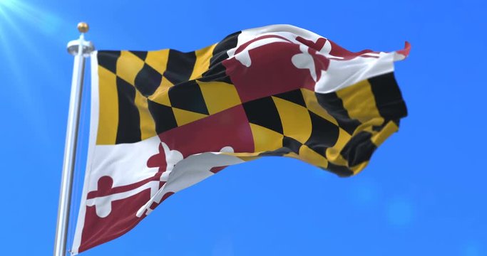 Flag of american state of Maryland, region of the United States, waving at wind - loop