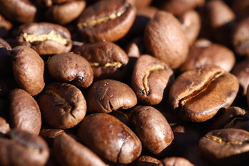 coffee beans