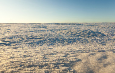 Fototapeta na wymiar snow-covered field