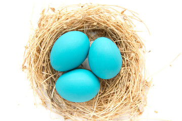 Blue colored Easter eggs in nest on wooden background, selective focus image. Happy Easter card 