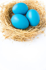 Fototapeta na wymiar Blue colored Easter eggs in nest on wooden background, selective focus image. Happy Easter card 