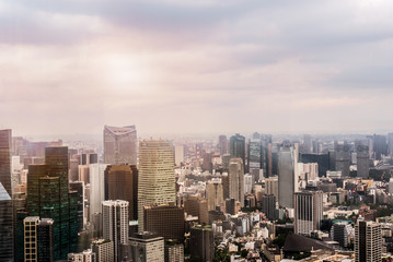 Fototapeta na wymiar Tokyo Cityscape in the morning