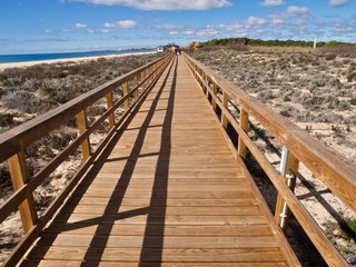 Fototapeta na wymiar Endlos langer Holzsteg durch die Dünen am Strand der Algarve