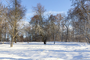 after a snowfall