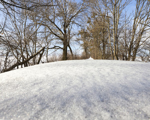snow covered car roof