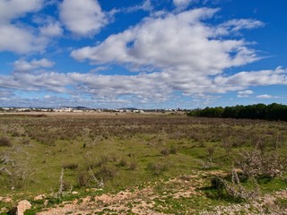 Fototapeta na wymiar Landwirtschaft in Portugal mit Feldern unter blauem Himmel